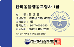 자격증3